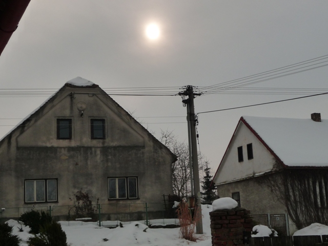 Třibřichy